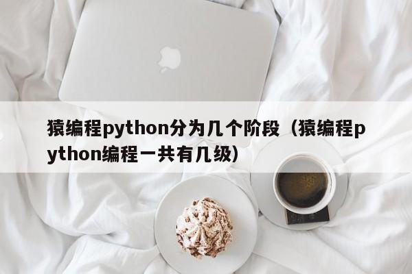 猿编程python分为几个阶段（猿编程python编程一共有几级）