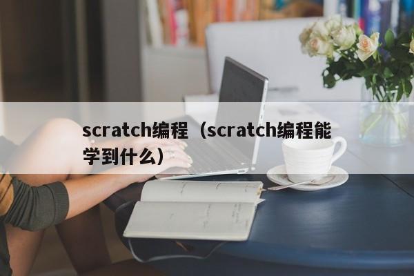 scratch编程（scratch编程能学到什么）
