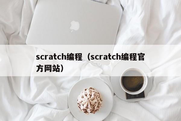scratch编程（scratch编程官方网站）