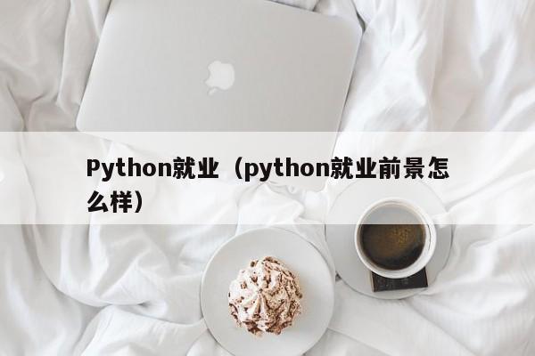 Python就业（python就业前景怎么样）