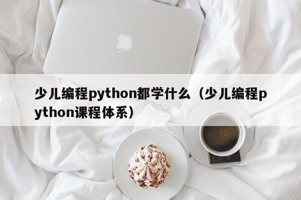 少儿编程python都学什么（少儿编程python课程体系）