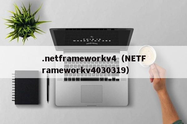 .netframeworkv4（NETFrameworkv4030319）