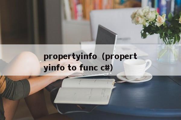 propertyinfo（propertyinfo to func c#）